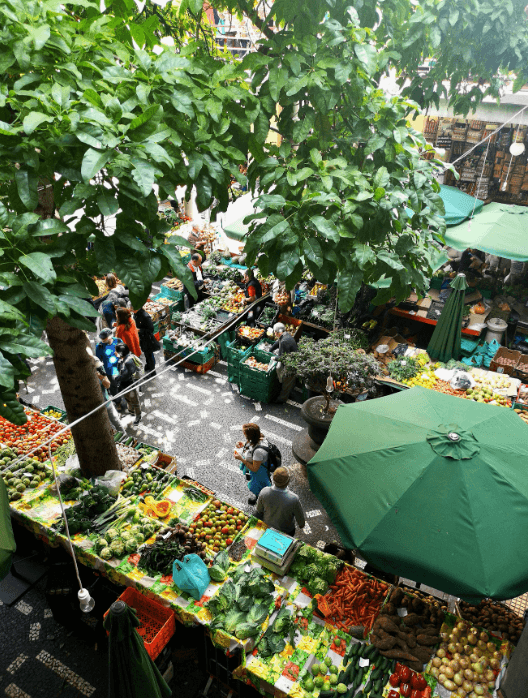 Local Farmers